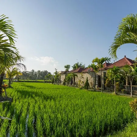 De Sawah Satoe Villa&Resort